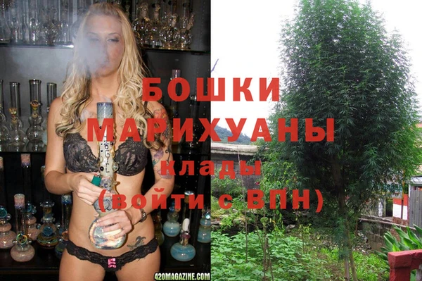 хмурый Алзамай