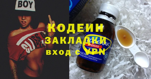 хмурый Алзамай