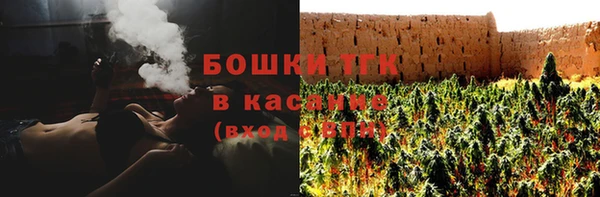 хмурый Алзамай