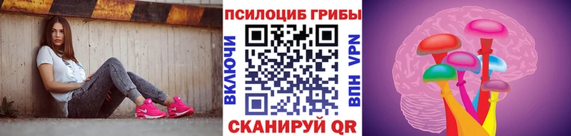 Галлюциногенные грибы мицелий  купить наркотик  Любань 